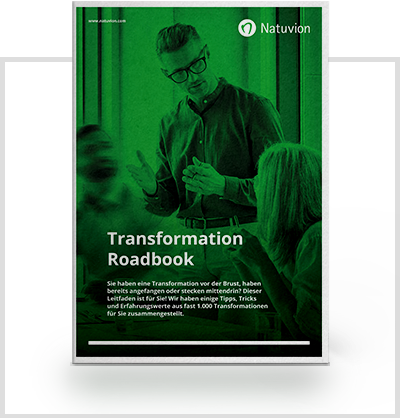 DE_Downloads_Transformation-Roadbook_PaperRahmen_v2