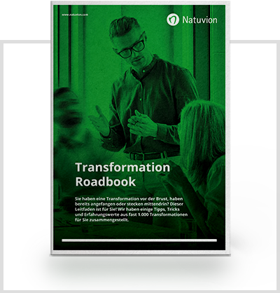 DE_Downloads_Transformation-Roadbook_PaperRahmen_v2-1